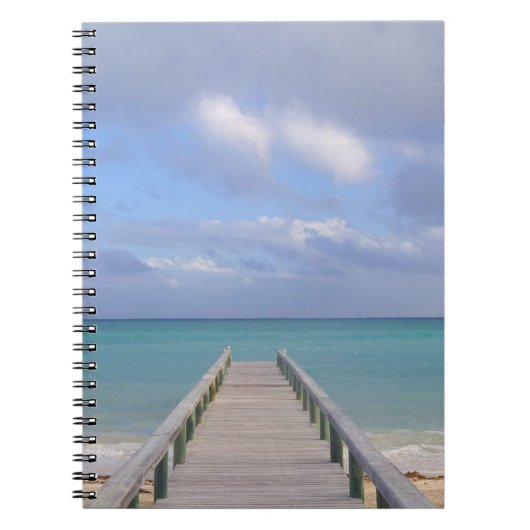 バハマ、グランドバハマ島、東部： ノートブック (正面)