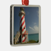 バハマ、グランドバハマ島、東部：町 メタルオーナメント (右)