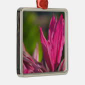 バハマ、ナッソー島、ニュープロビデンス島：パラダイス メタルオーナメント (右)