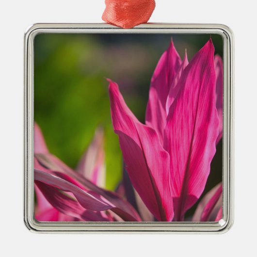 バハマ、ナッソー島、ニュープロビデンス島：パラダイス メタルオーナメント (正面)