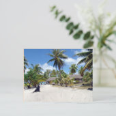 バハマ ポストカード (スタンド正面)