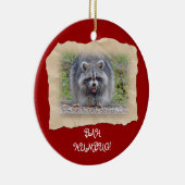 バハムブッグラクーン セラミックオーナメント (右)