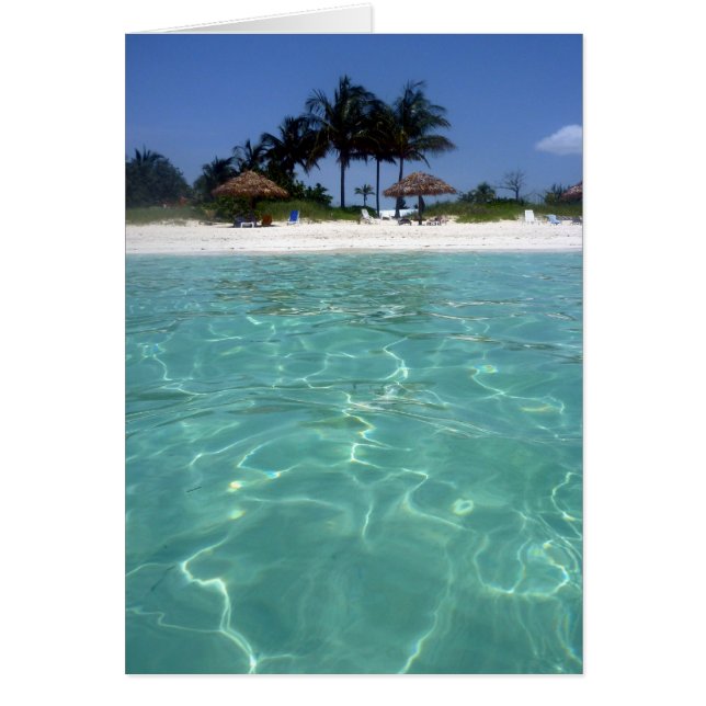 バハ澄んマ (正面)