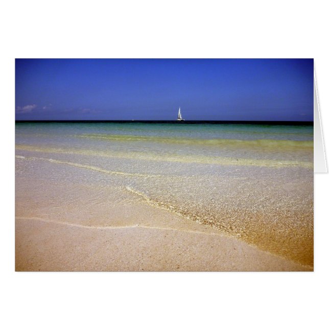 バハ澄んマ (正面横)