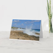 バハ素晴らしマス素晴らし・アバコ島エグレト カード (裏面)