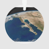 バハ・カリフォルニアとメキシコの太平洋岸。 オーナメント (裏面)