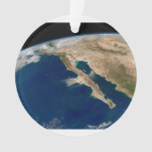 バハ・カリフォルニアとメキシコの太平洋岸。 オーナメント (正面)