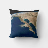 バハ・カリフォルニアとメキシコの太平洋岸。 クッション (正面)