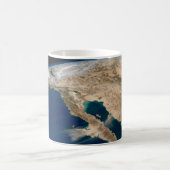 バハ・カリフォルニアとメキシコの太平洋岸。 コーヒーマグカップ (中央)