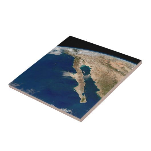 バハ・カリフォルニアとメキシコの太平洋岸。 タイル (側面)