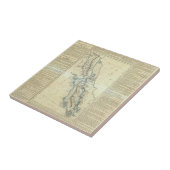 バハ・カリフォルニア州、メキシコ タイル (側面)