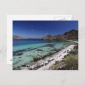 バハ・コンセプション湾 ポストカード (正面/裏面)