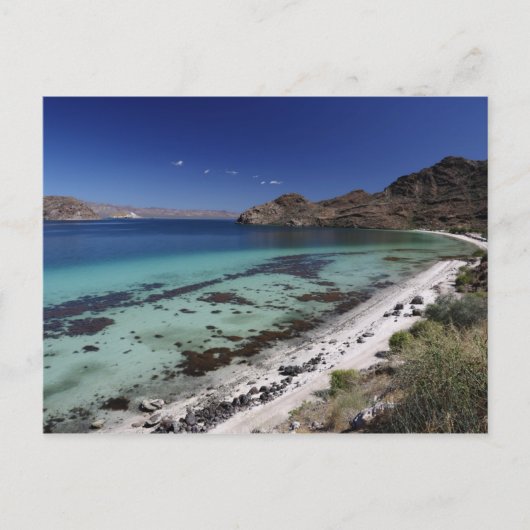 バハ・コンセプション湾 ポストカード (正面)