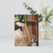 ババコーチングミキー ポストカード (スタンド正面)