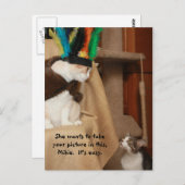 ババコーチングミキー ポストカード (正面/裏面)