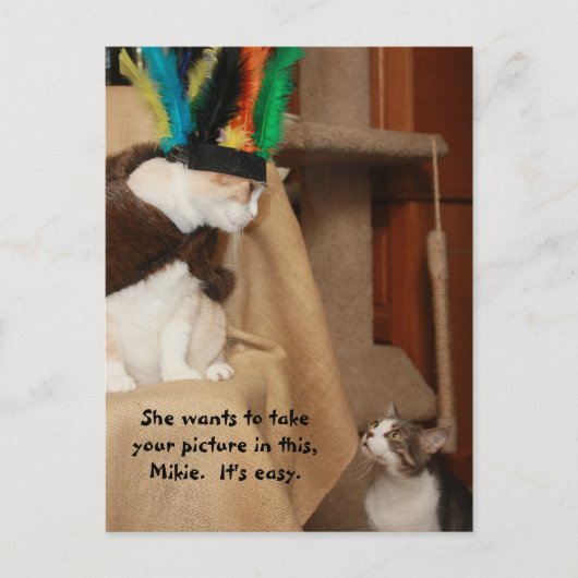 ババコーチングミキー ポストカード (正面)