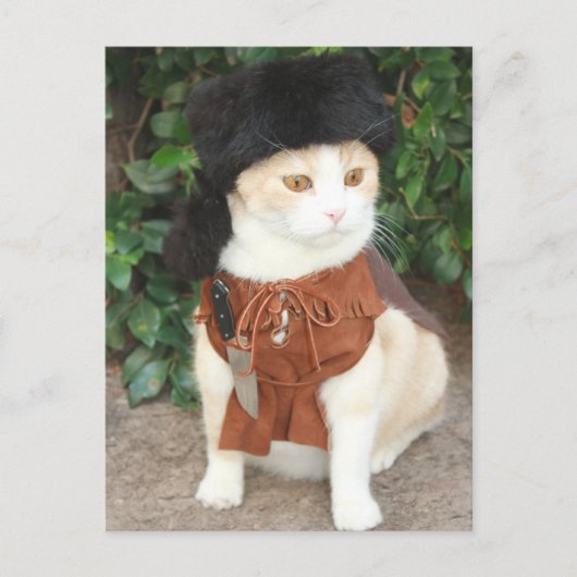 ババボウイ ポストカード (正面)