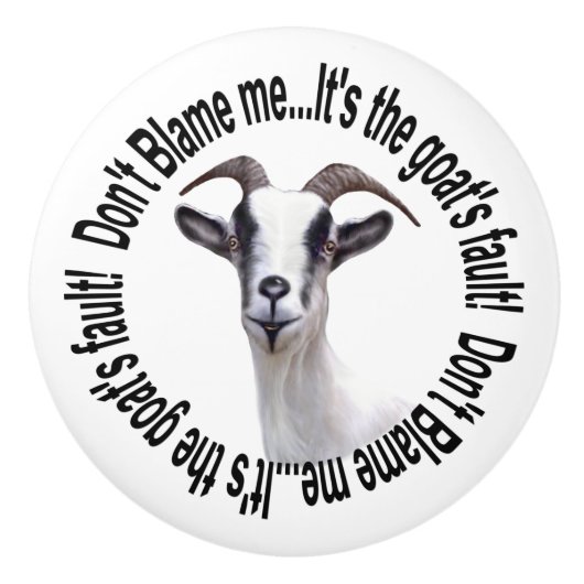 ババヤギ私を責めない セラミックノブ (正面)