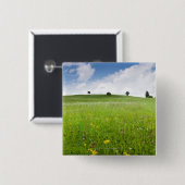 ババリア、ostallgÃ¤uの緑の夏草原との 缶バッジ (正面&裏面)