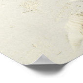 ババロビーチザプンタカナ島 ポスター (角)