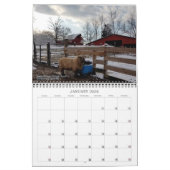 バビドールサウスダウンシープ2020ナブサールカレンダー カレンダー (1月 2026)