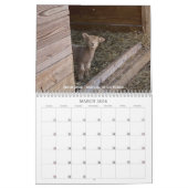 バビドールサウスダウンシープ2022 NABSSARカレンダー カレンダー (3月 2026)