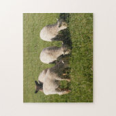 バビドールサウスダウンランプ ジグソーパズル (縦)