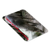 バビルーサの醜い動物 マグネット (右側)