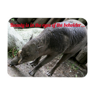 バビルーサの醜い動物 マグネット