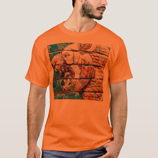 バビロンの壁 Tシャツ (正面)