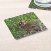 バビーバニー紙コースター スクエアペーパーコースター (アングル)