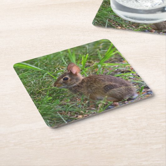 バビーバニー紙コースター スクエアペーパーコースター (アングル)