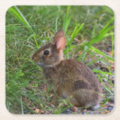 バビーバニー紙コースター スクエアペーパーコースター (正面)