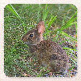 バビーバニー紙コースター スクエアペーパーコースター