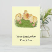 バフのゴスリングが房状 招待状 (スタンド正面)