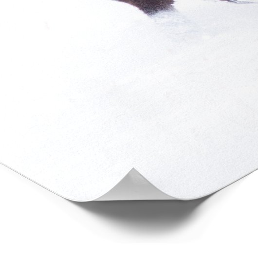 バファローズ ポスター (角)