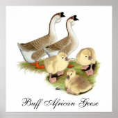 バフアフリカグースファミリー ポスター (正面)