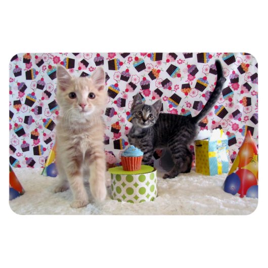バフィントンとパトンの誕生日猫/子猫 マグネット (横)