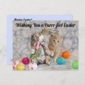 バフィントンの復活祭バニー – Cat / Kittenポストカード ポストカード (正面/裏面)