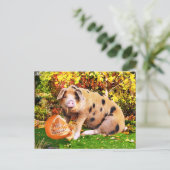 「バフィーのカボチャ」 ポストカード (スタンド正面)