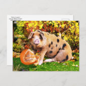 「バフィーのカボチャ」 ポストカード (正面/裏面)