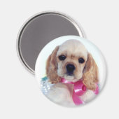 バフコッカーの子犬の磁石 マグネット (正面/裏面)