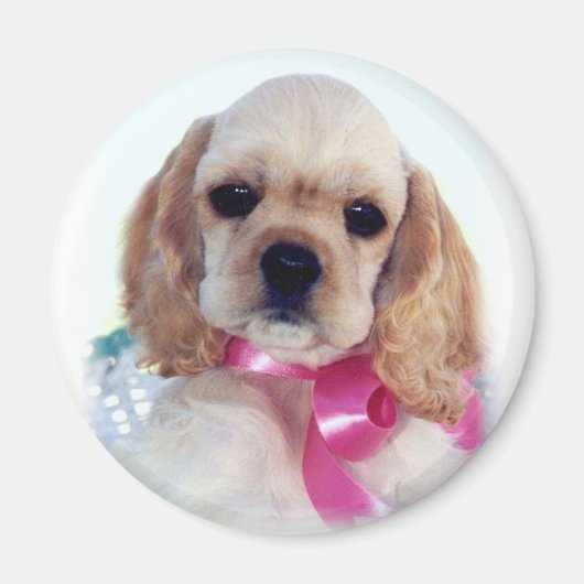 バフコッカーの子犬の磁石 マグネット (正面)