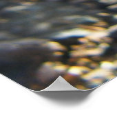 バフシルキーチキンシック ポスター (角)