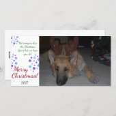 バフンバグクリスマスカードドイツの羊飼おもしろいい シーズンカード (正面/裏面)