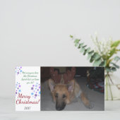 バフンバグクリスマスカードドイツの羊飼おもしろいい シーズンカード (スタンド正面)