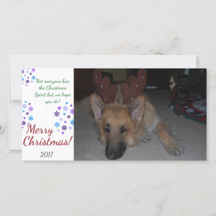 バフンバグクリスマスカードドイツの羊飼おもしろいい シーズンカード