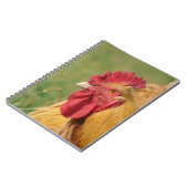 バフ・ルースター ノートブック (左側)