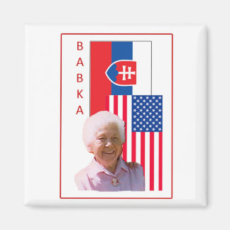 バブカ磁石 マグネット