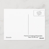 バブコック州パークグリストミル ポストカード (裏面)